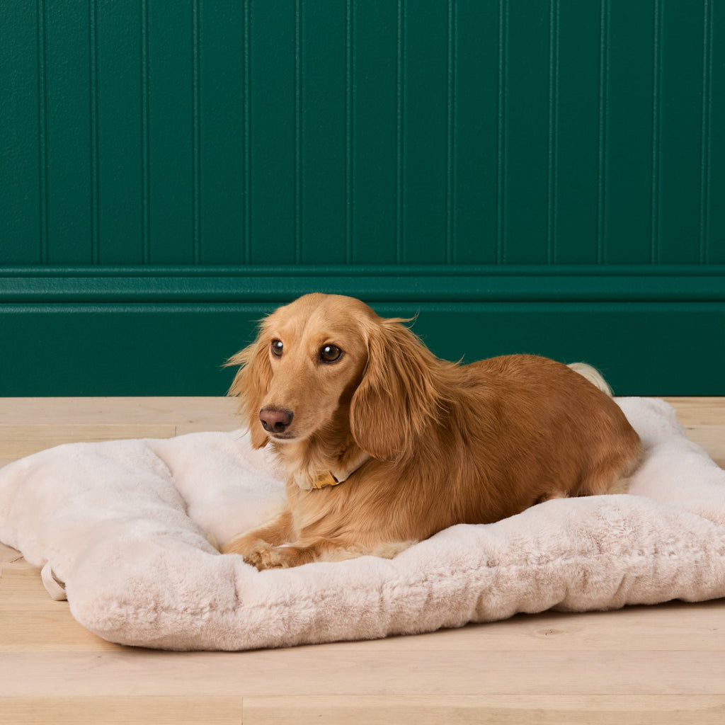 Bolster Dog Bed product image 8
