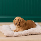 Bolster Dog Bed product image 8