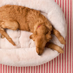 Bolster Dog Bed product image 10