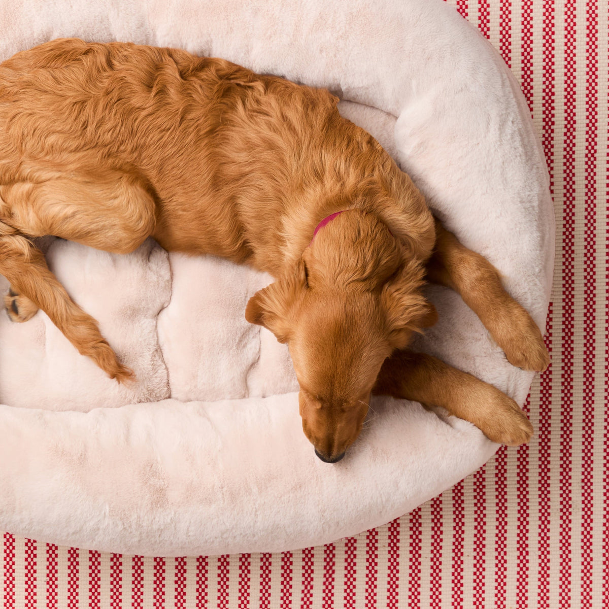 Bolster Dog Bed product image 10