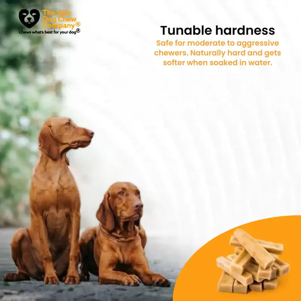 Himalayan Yak Chews — All Sizes | Small to Giant Dogs product image 6