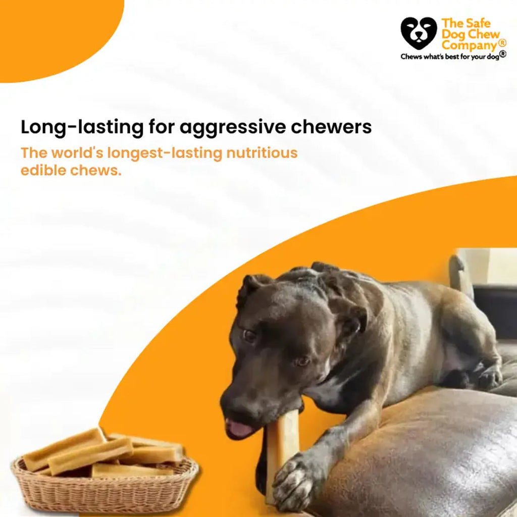 Himalayan Yak Chews — All Sizes | Small to Giant Dogs product image 7