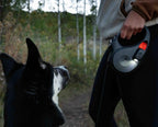 Retractable Dog Leash product image 4