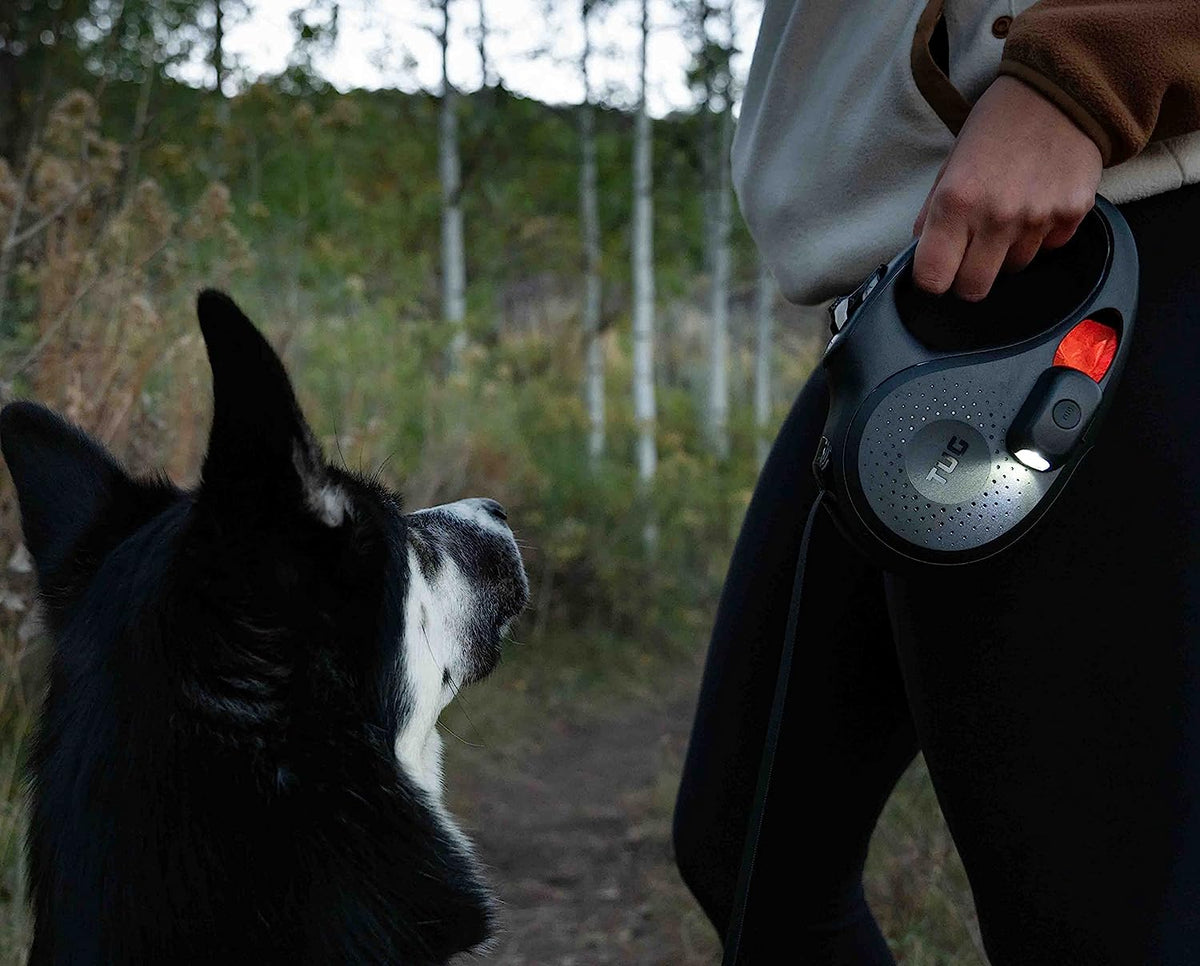 Retractable Dog Leash product image 4