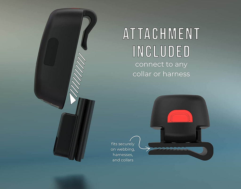 Retractable Dog Leash product image 5