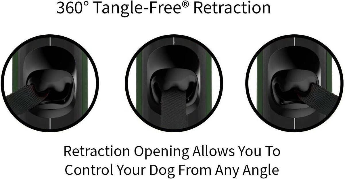 Retractable Dog Leash product image 10