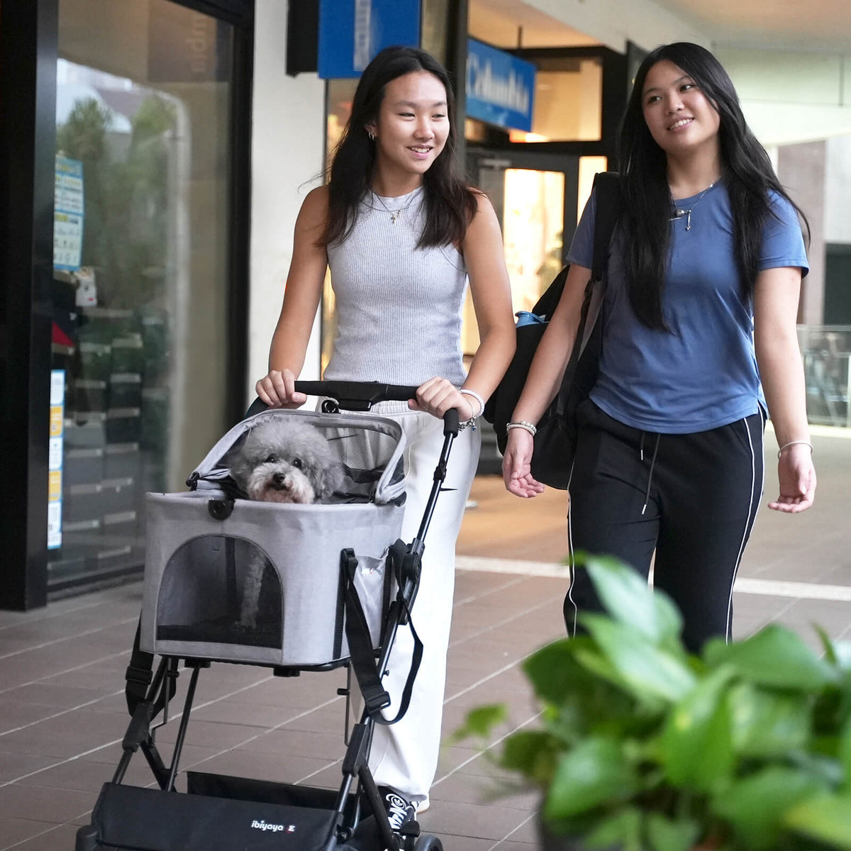 Detachable Carrier Pet Stroller product image 10