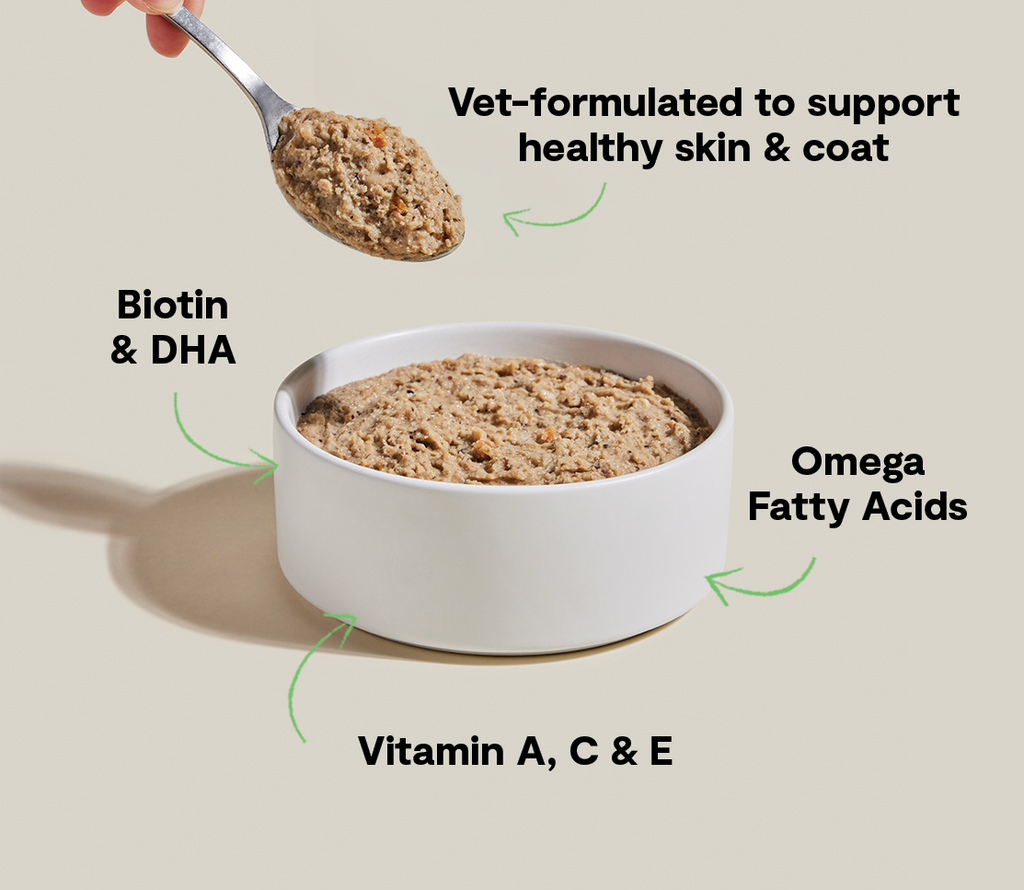 Dog Food Pâté product image 4