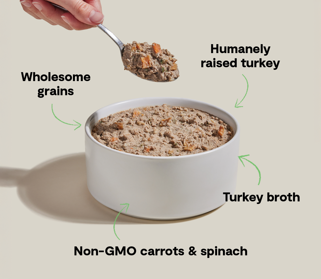 Wet Dog Food product image 4
