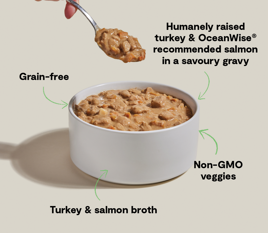 Wet Dog Food product image 4