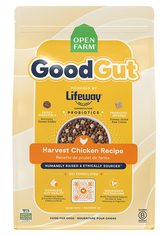 Dog Kibble product image 1