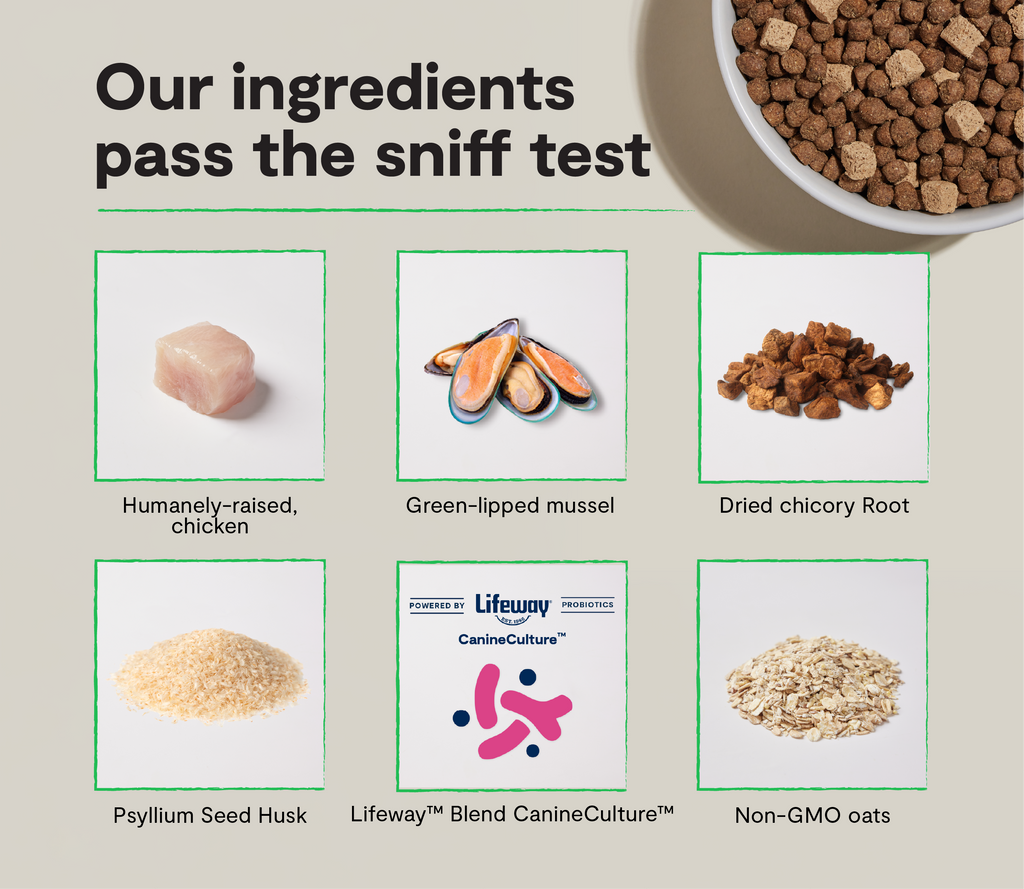 Dog Kibble product image 3