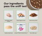 Dog Kibble product image 3