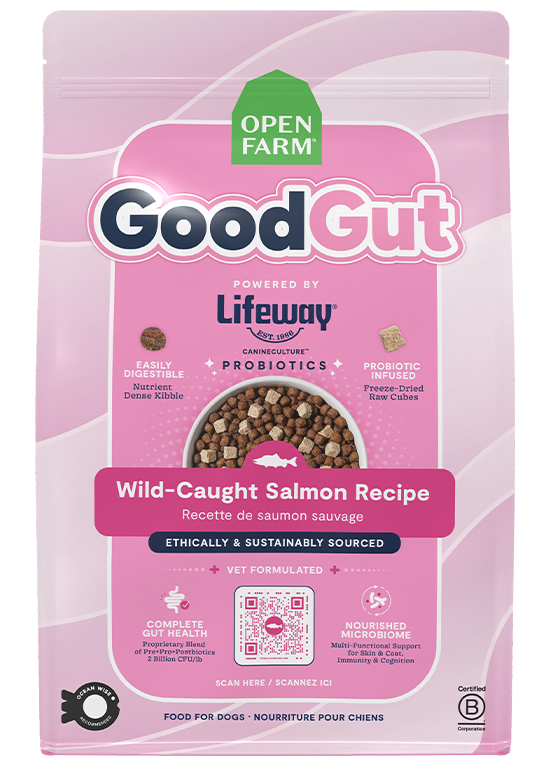 Dry Dog Food product image 1