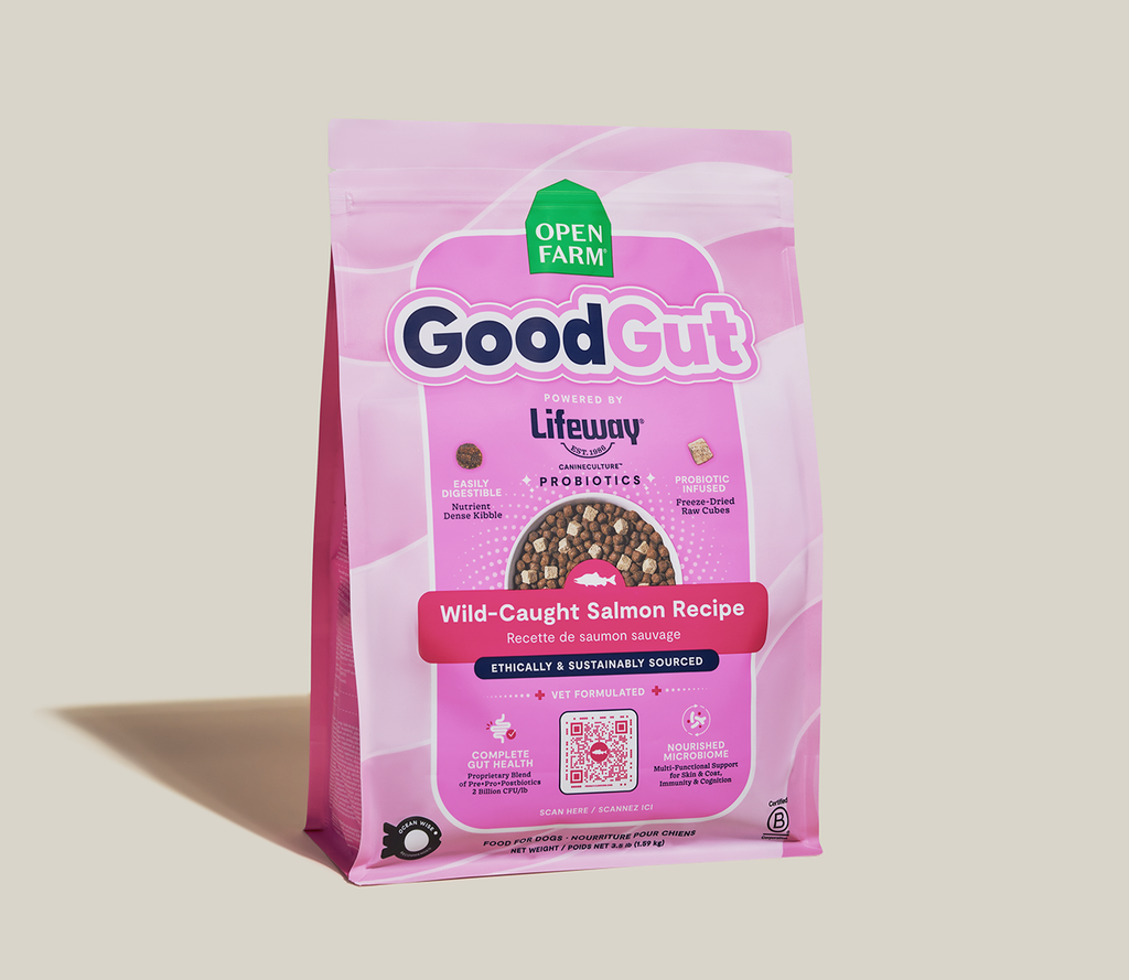 Dry Dog Food product image 2