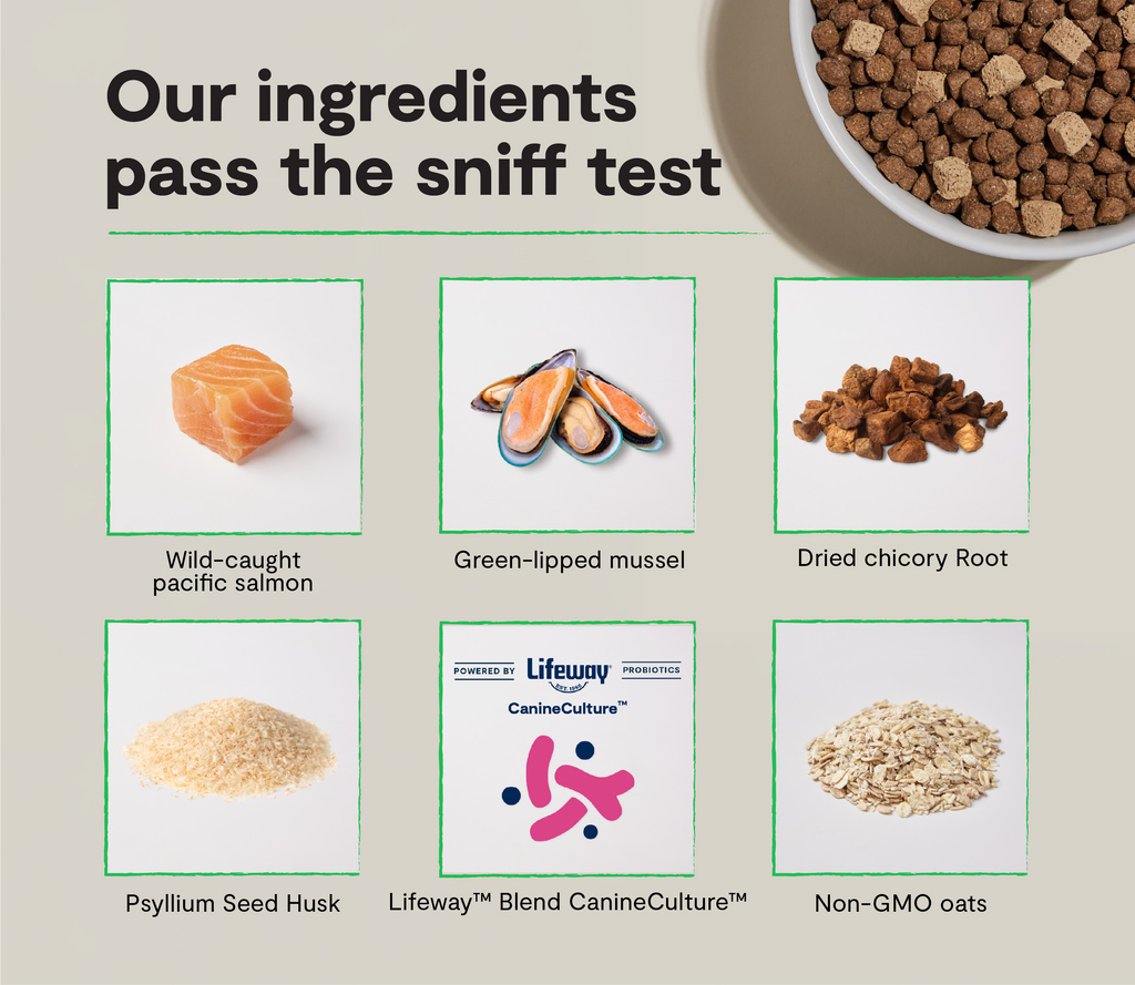 Dry Dog Food product image 3