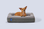 Dog Bed product image 1