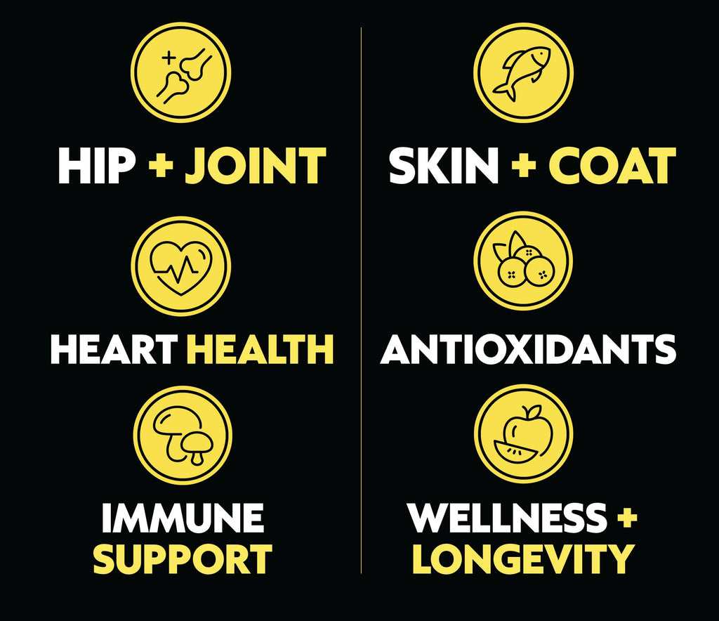 Liquid Dog Wellness Supplement product image 5