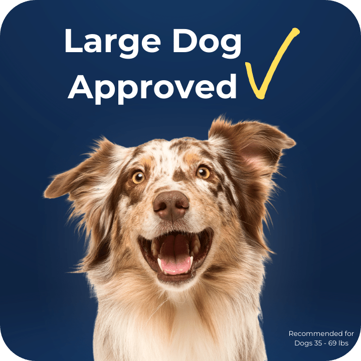 Soft Rawhide Dental Chews for Large Dogs product image 5