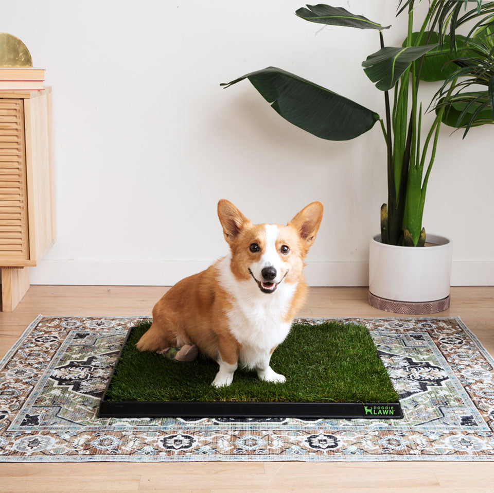 Washable Pet Mat product image 1