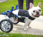 Dog Wheelchair Vest product image 1