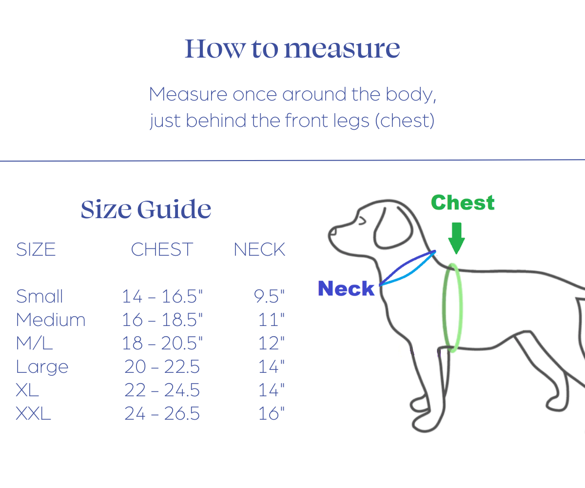 Dog Wheelchair Vest product image 3