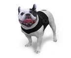 Dog Wheelchair Vest product image 4