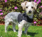 Dog Wheelchair Vest product image 6