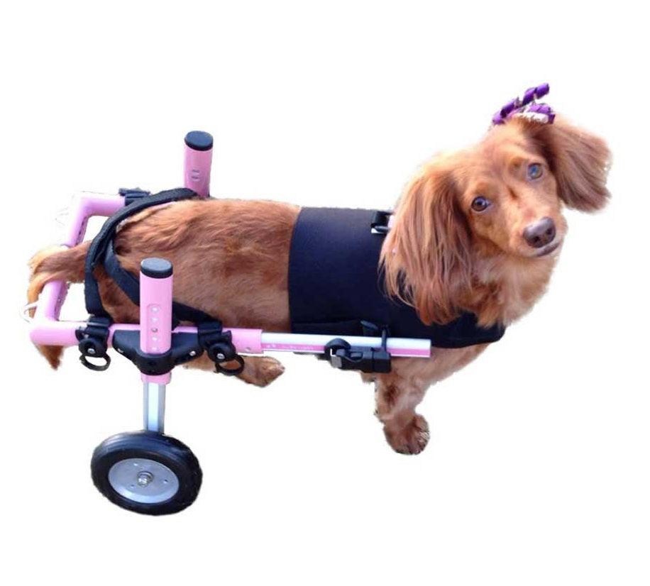 Dog Wheelchair Vest product image 7