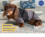 Dog Wheelchair Vest product image 8