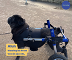 Dog Wheelchair Vest product image 9