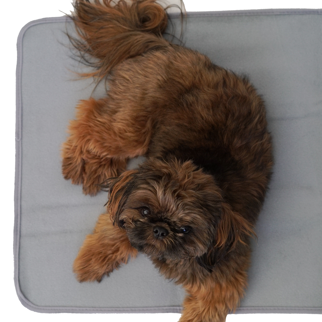 Pet Heating Pad product image 1