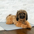 Pet Heating Pad product image 2