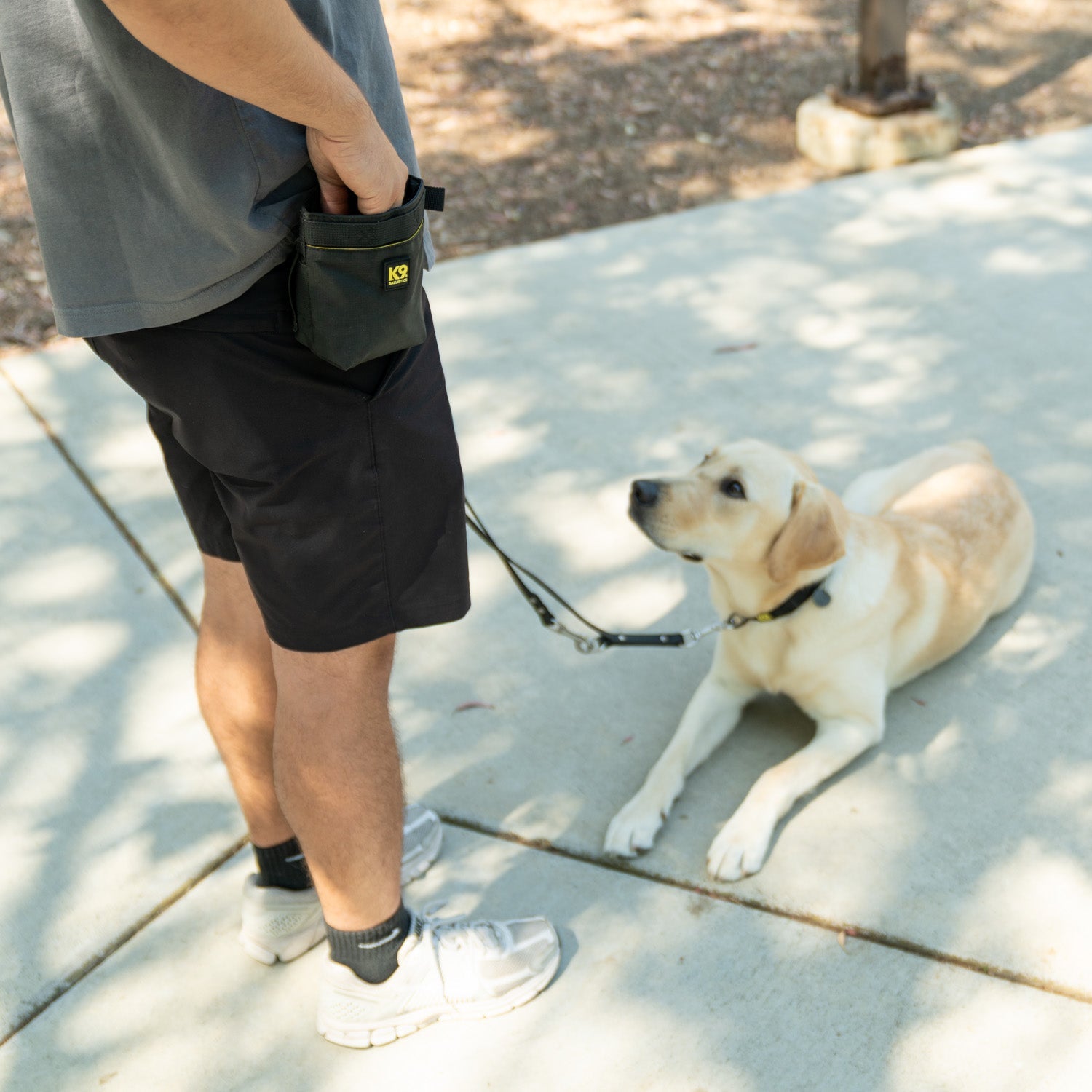 Dog Treat Pouch product image 2
