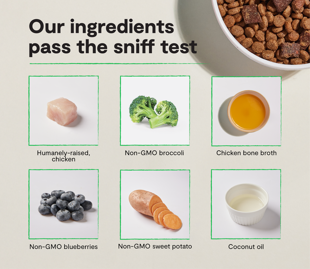 Dry Dog Food product image 3
