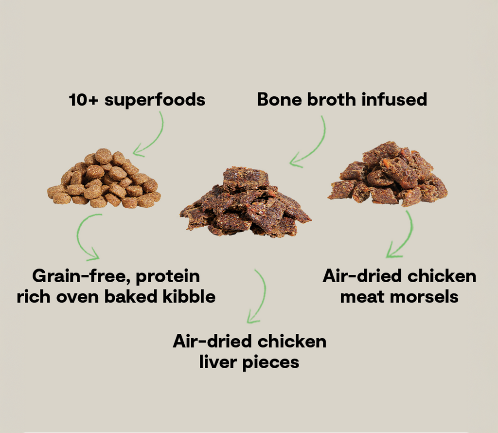 Dry Dog Food product image 5