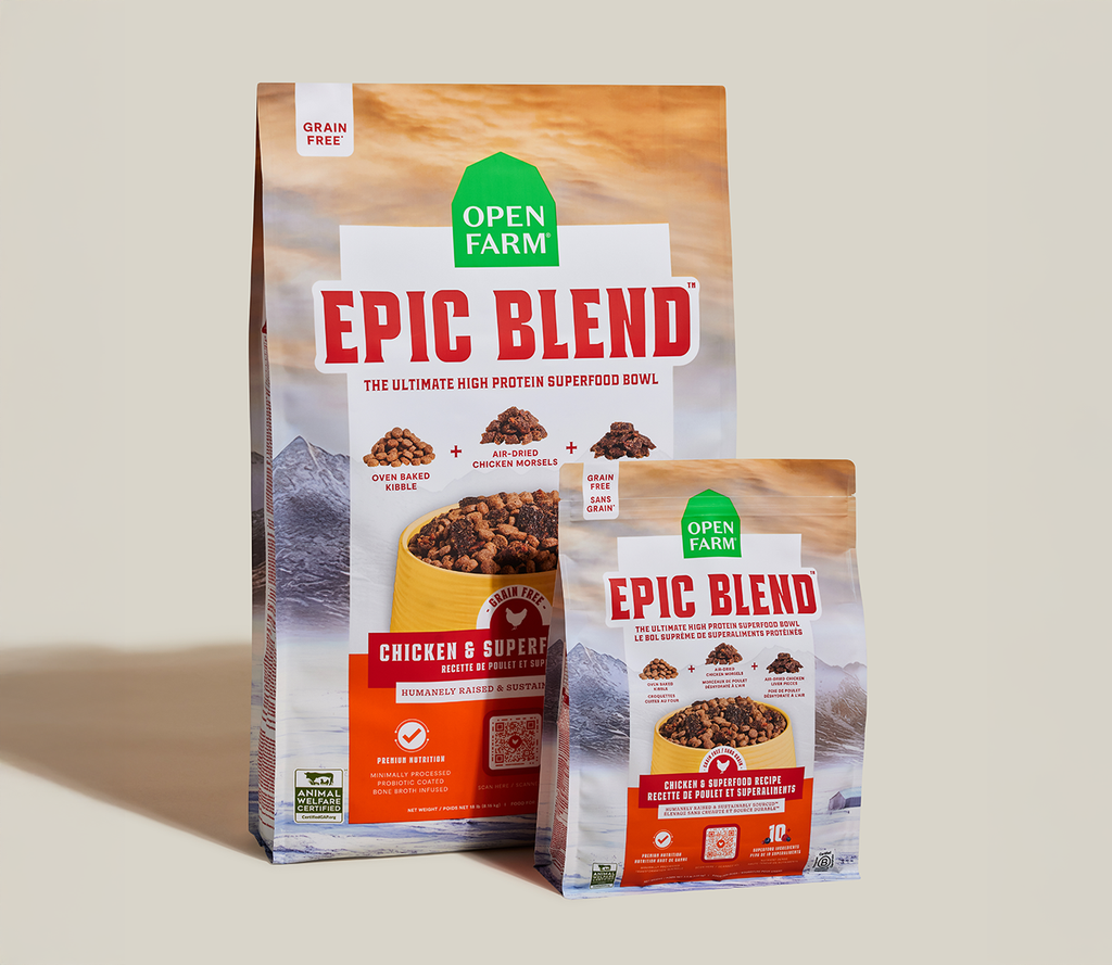 Dry Dog Food product image 7