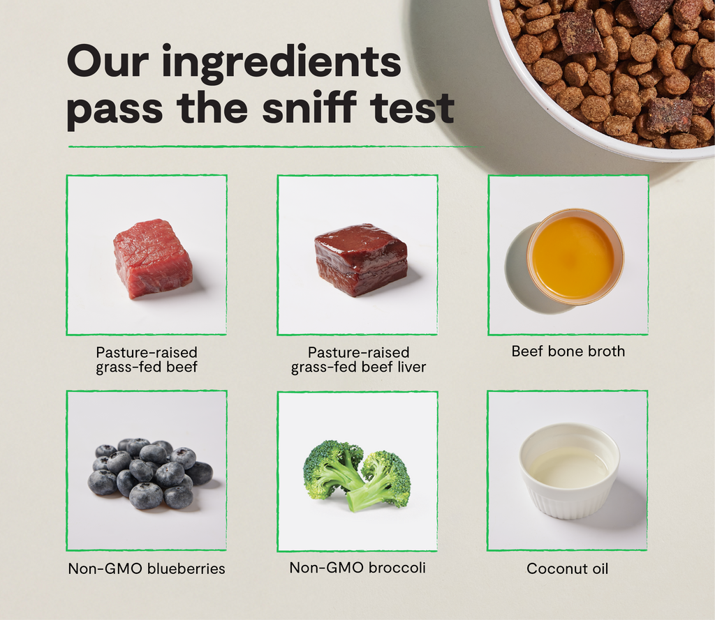 Dry Dog Food product image 3