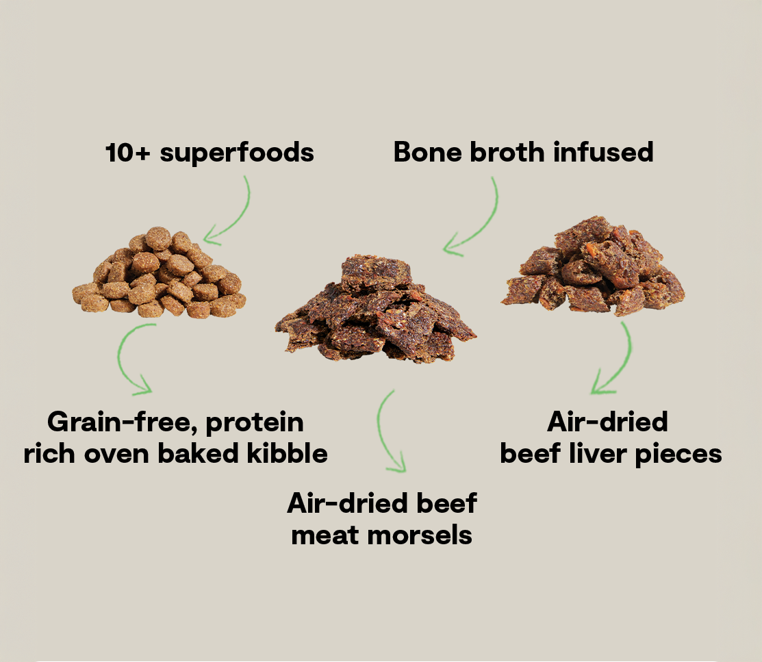 Dry Dog Food product image 5
