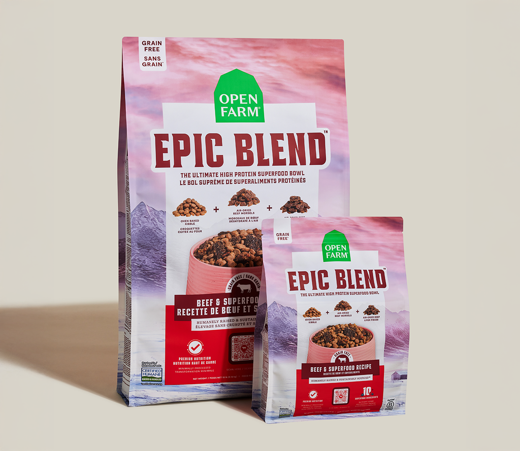 Dry Dog Food product image 7