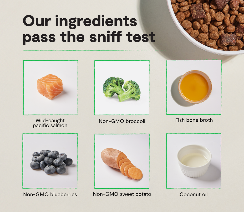 Salmon Dog Food product image 3