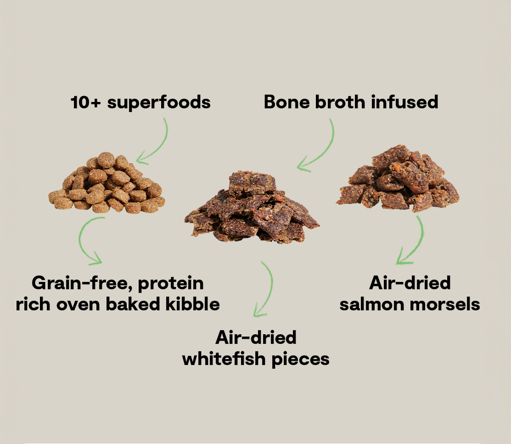 Salmon Dog Food product image 5