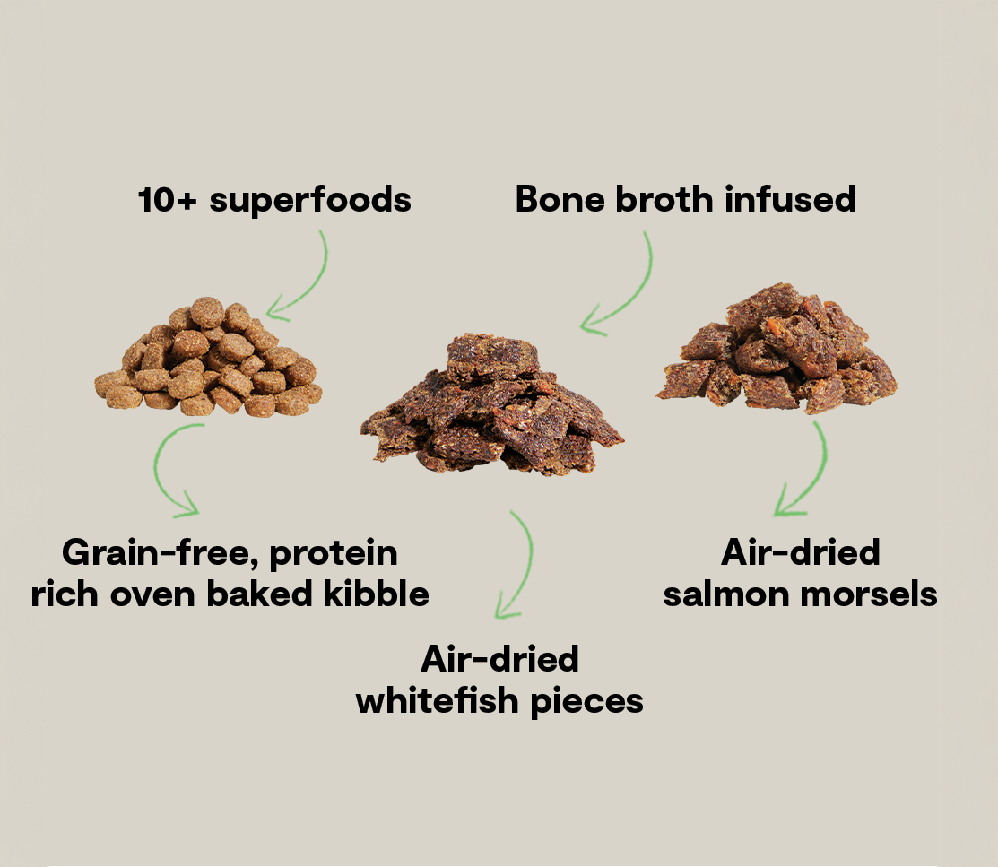 Salmon Dog Food product image 5