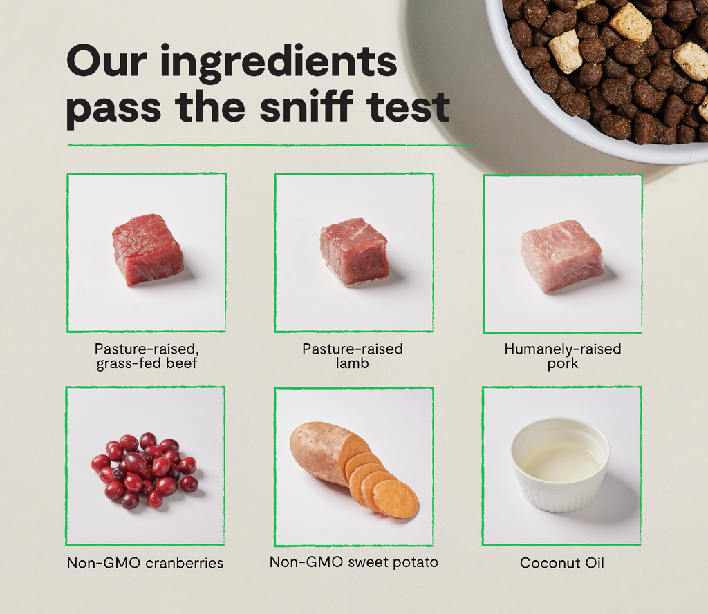 Grain-Free Dog Food product image 3