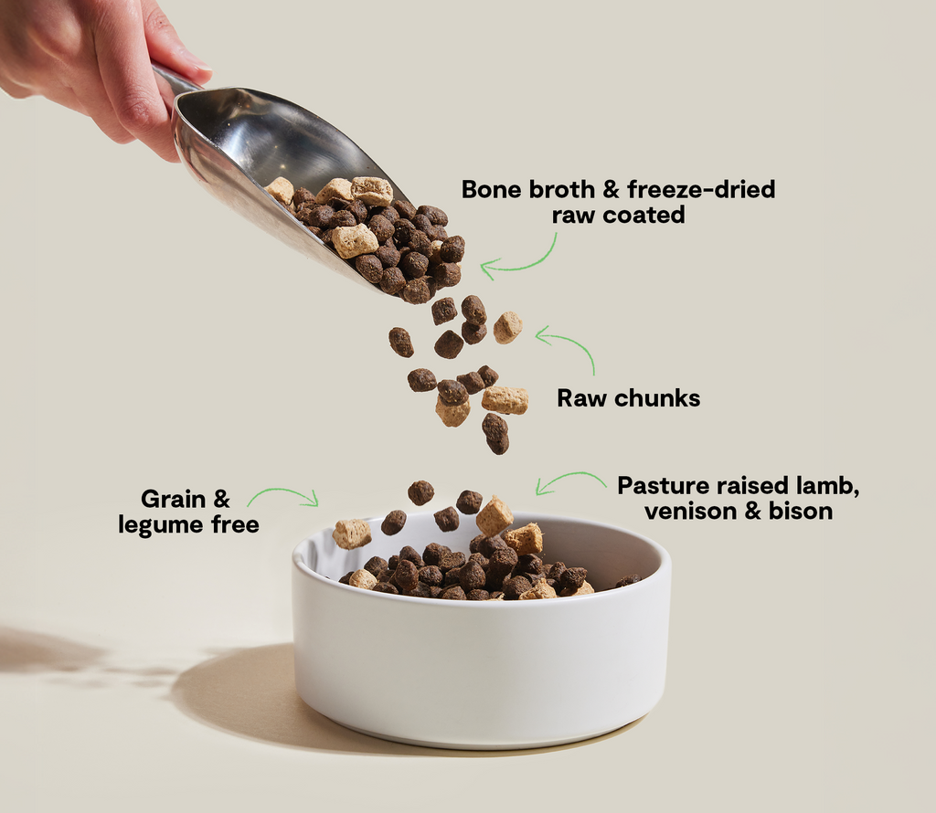 Grain-Free Dog Food product image 5