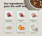 Dog Kibble product image 3