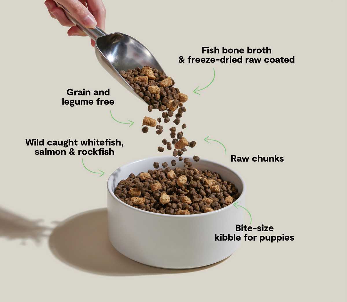 Puppy Kibble product image 5