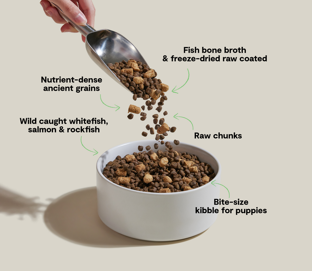 Puppy Food product image 5