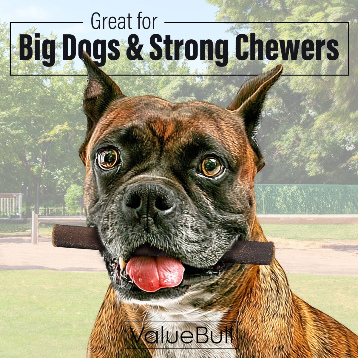 Dog Collagen Chews product image 2