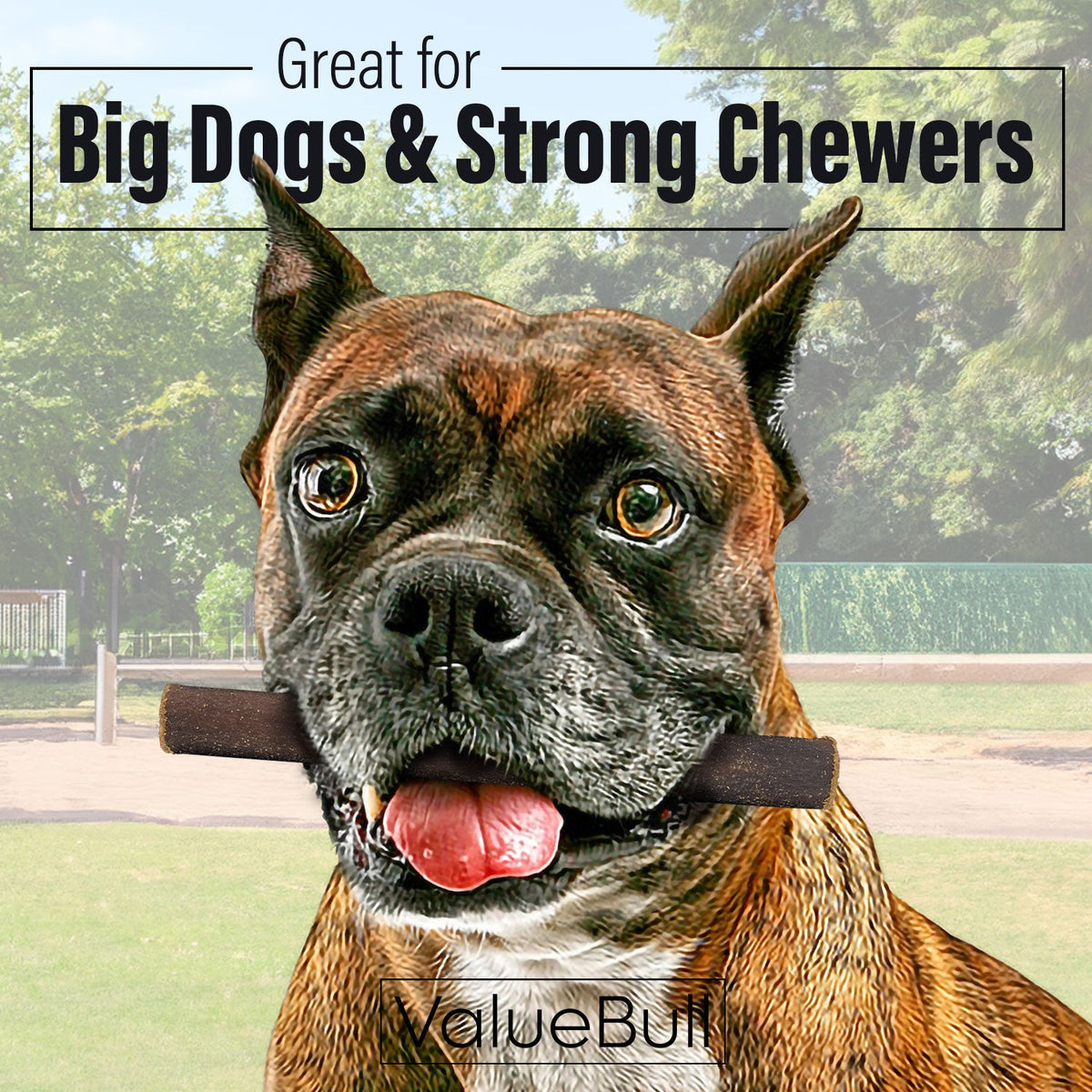 Dog Collagen Chews product image 2